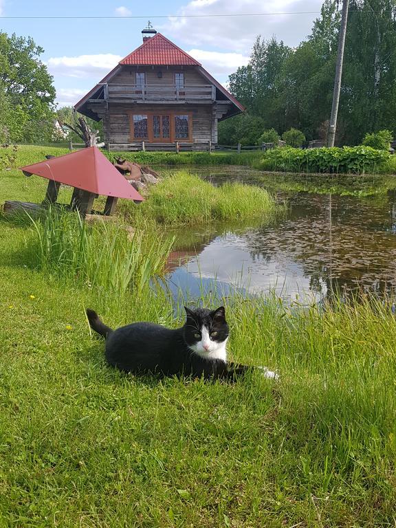 Bellas Namins Cēsis Zewnętrze zdjęcie