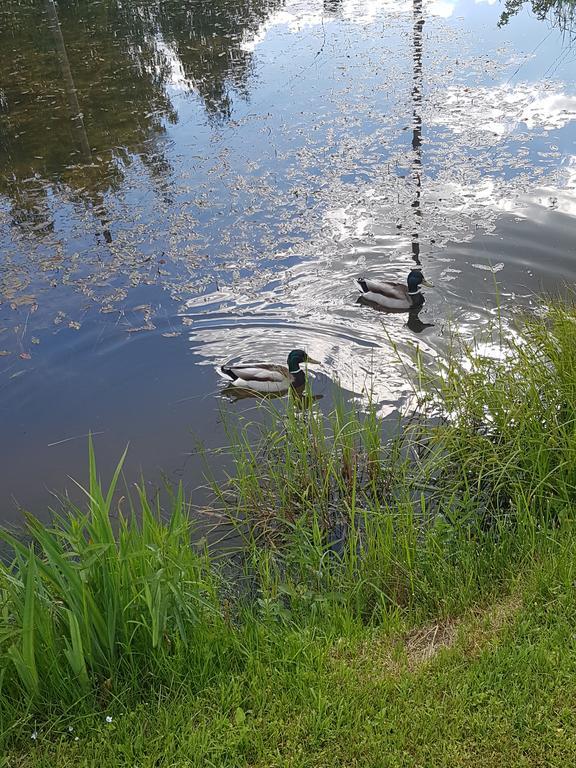 Bellas Namins Cēsis Zewnętrze zdjęcie
